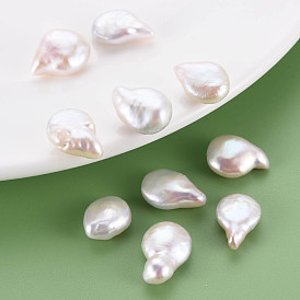Perles de perles keshi naturelles, perle de culture d'eau douce, pas de trous / non percés, larme