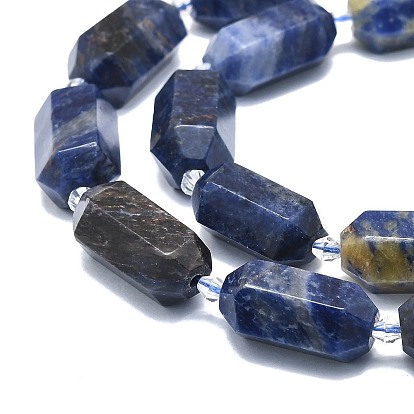 Natural Sodalite Beads Strands, Faceted, Double Terminated Pointed/Bullet