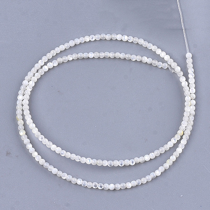 Perles naturelles de coquillages blancs, brins de perles en nacre, ronde