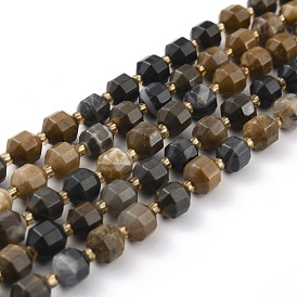 Naturelles pétrifiés perles de bois brins, facette, avec des perles de rocaille, polygone