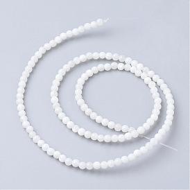 Natural Freshwater Shell Bead Strands, Round