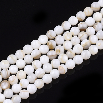 Freshwater Shell Beads Strands, Round