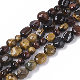 Natural Tiger Eye Beads Strands, Nuggets, Tumbled Stone