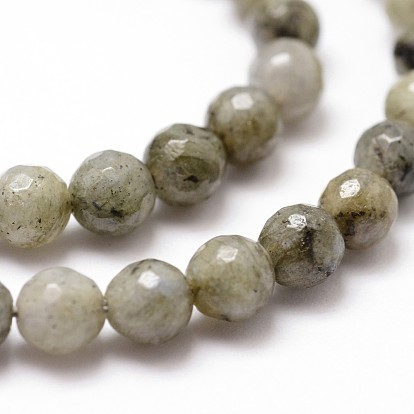 Natural Labradorite Beads Strands, Faceted, Round, Dark Khaki