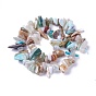 Natural Blue Opal Beads Strands, Chips