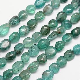 Apatite naturelle rangées de perles, pierre tombée, nuggets, 6~12x6~13mm, Trou: 1mm, environ 15.74 pouce