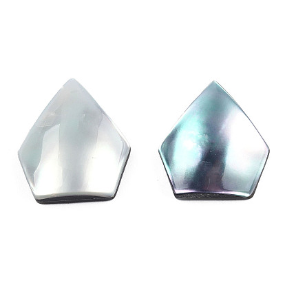 Cabujones naturales turbo cornulus/top shells, con acrílico y concha, forma de diamante