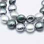Shell Pearl Beads Strands, Polished, Flat Round