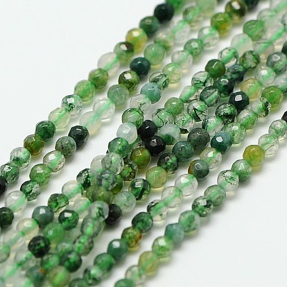 Natural Moss Agate Beads Strands, Faceted Round