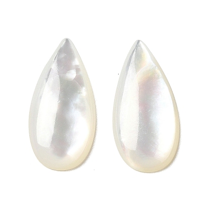 Natural White Shell Cabochons, Teardrop