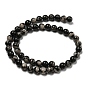 Natural Black Fossil Coral Beads Strands, Round