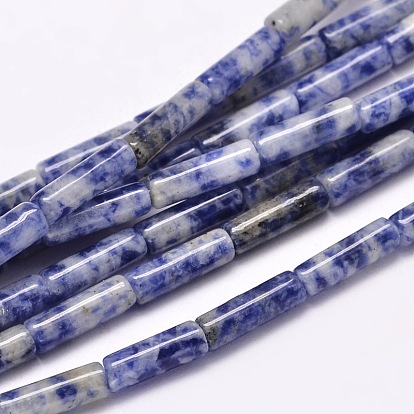 Натуральный синий пятно яшмы, 13~14x4~5 мм, отверстие : 1 мм, около 29 шт / нитка, 15.7 дюйм