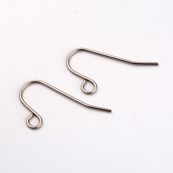 316L Surgical Stainless Steel Earring Hooks, Ear Wire, with Horizontal Loop