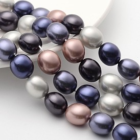 Coquille ovale brins perles de perles, 15x13x12mm, Trou: 1mm, Environ 27 pcs/chapelet, 15.7 pouce
