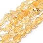 Natural Citrine Beads Strands, Tumbled Stone, Nuggets
