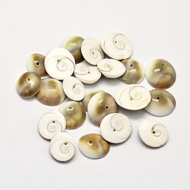 Cuentas de concha de ojo de shiva natural, 11~15x4~5 mm, Agujero: 1 mm, sobre 480 unidades / 500 g