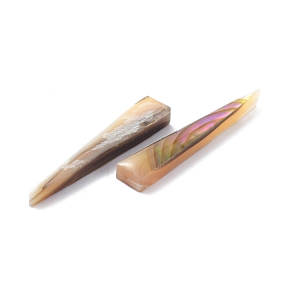 Coquillage d'ormeau naturel/perle de coquillage paua, triangle