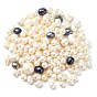 Perlas de concha de perla, oval
