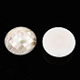 Perles naturelles de coquillages blancs, pas de trous / non percés, plat rond