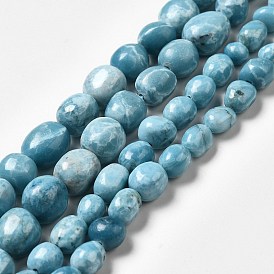 Natural Gemstone Beads Strands, Imitation Larimar, Tumbled Stone, Dyed, Nuggets, Sky Blue