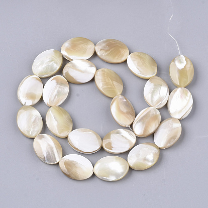 Brins de perles de coquille de trochid / trochus shell, ovale