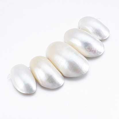 Perles naturelles de coquillages blancs, brins de perles en nacre, ovale