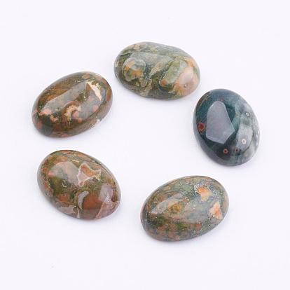 Cabochons de pierres fines naturelles, ovale