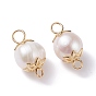 Natural Cultured Freshwater Pearl Beads Links Connectors, with Golden Tone 304 Stainless Steel Findings, Oval