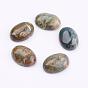 Cabochons de pierres fines naturelles, ovale