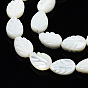 Natural Trochid Shell/Trochus Shell Beads Strands, Bleach, Leaf