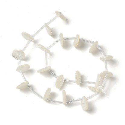 Perlas de concha de nácar blanco natural, superior perforado, cáscara