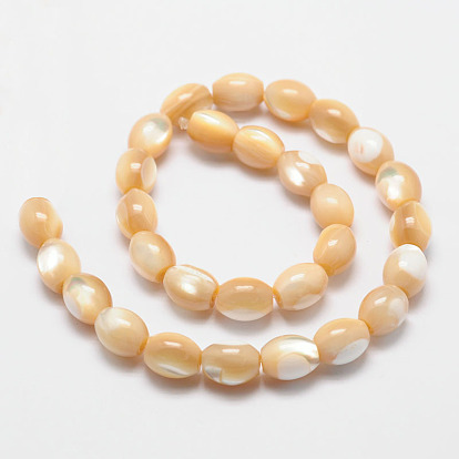 Natural Sea Shell Barrel Bead Strands, 11x9mm, Hole: 1mm, about 36pcs/strand, 15.3 inch