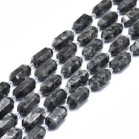 Natural Larvikite Beads Strands, Faceted, Double Terminated Pointed/Bullet