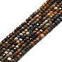 Natural Pietersite Beads Strands, Faceted, Cube