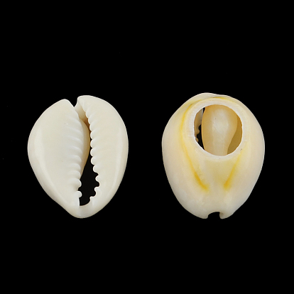 Natural Mixed Cowrie Shell Beads, Cowrie Shells