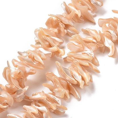 Natural Trochid Shell Beads Strands, Chip