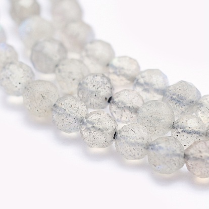 Chapelets de perles labradorite naturelle , ronde, facette