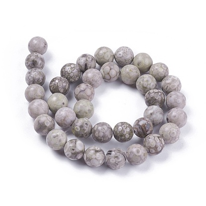 Brins de perles en pierre naturelle maifanite / maifan, ronde