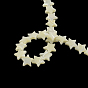 Hebras de cuentas de concha de mar natural en forma de estrella