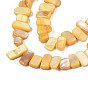 Natural Trochid Shell/Trochus Shell Beads Strands, Dyed, Rectangle