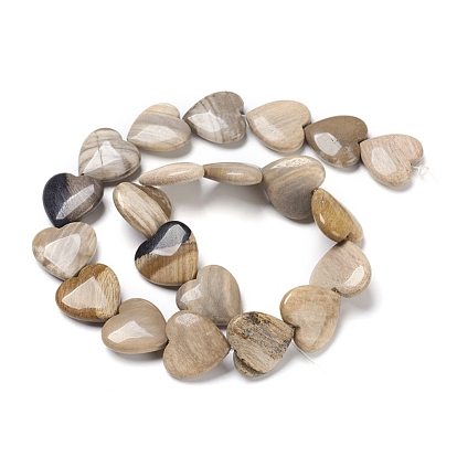 Natural Petrified Wood Beads Strands, Heart
