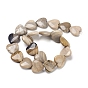 Natural Petrified Wood Beads Strands, Heart