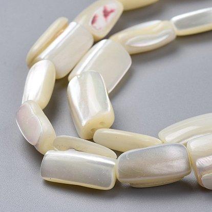 Natural Shell Beads Strands, Rectangle