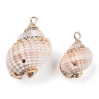 Pendentifs en coquillage en spirale naturelle galvanisés, charmes shell, avec boucles en fer doré