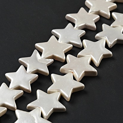 Natural Shell Beads Strands, Star