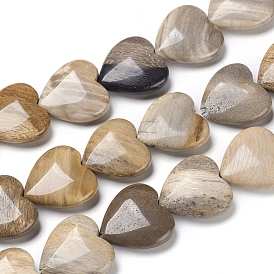 Naturelles pétrifiés perles de bois brins, cœur