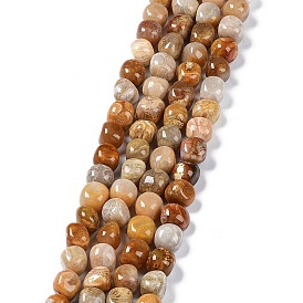 Natural Fossil Coral Beads Strands, Nuggets Tumbled Stone