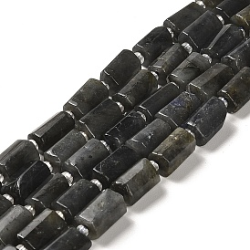 Natural Larvikite Beads Strands, with Seed Beads, Faceted, Column