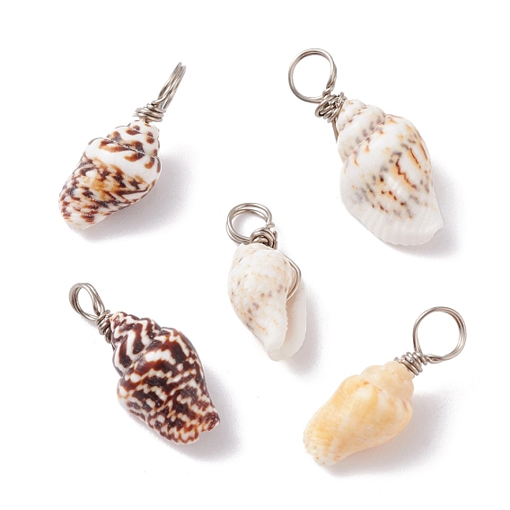 Natural Shell Pendants, with Copper Findings