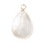 Natural Trochid Shell/Trochus Shell Pendants, with Real 18K Gold Plated Copper Wire, Teardrop